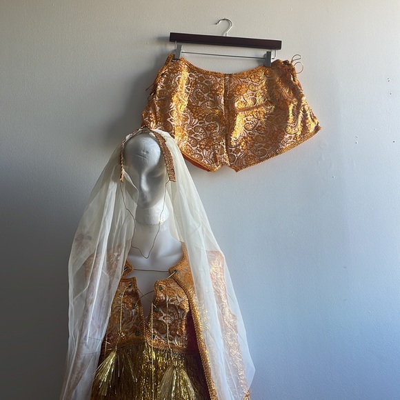 Vintage Middle Eastern Halloween Costume Veil - Picture 4 of 10
